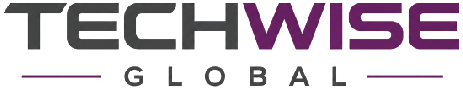 TechWise Global